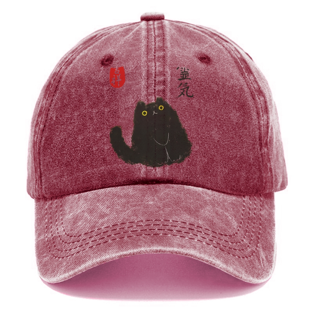 Black Civet Cat Washed Cap