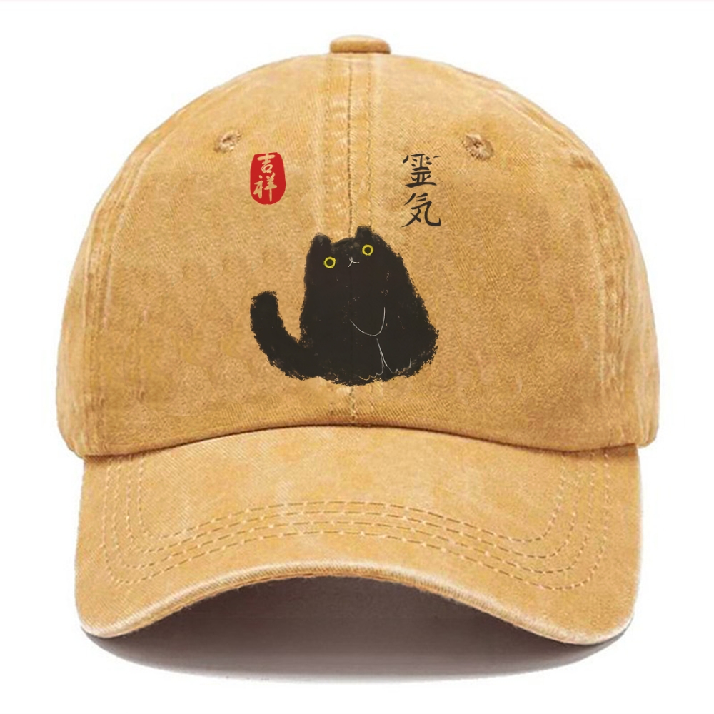 Black Civet Cat Washed Cap