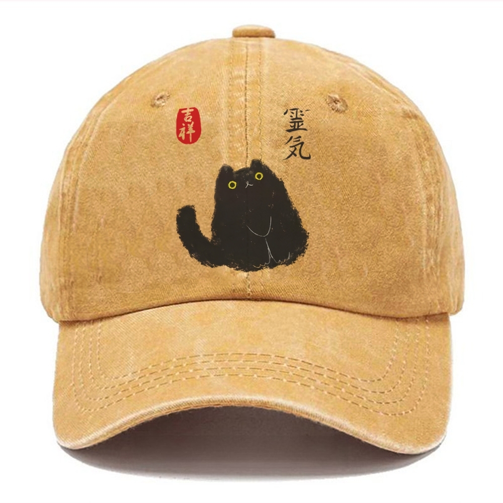 Black Civet Cat Washed Cap
