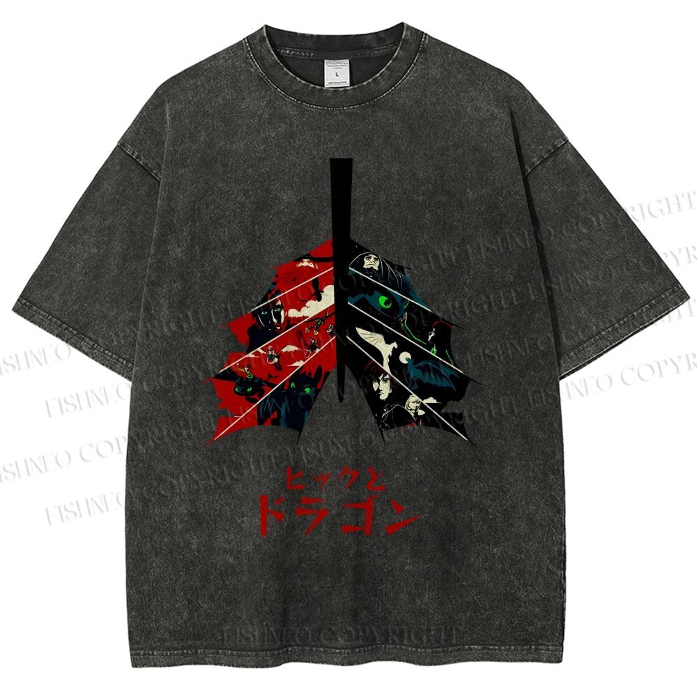 Unisex How to Train Your Dragon Printed Washed Tee