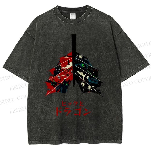 Unisex How to Train Your Dragon Printed Washed Tee