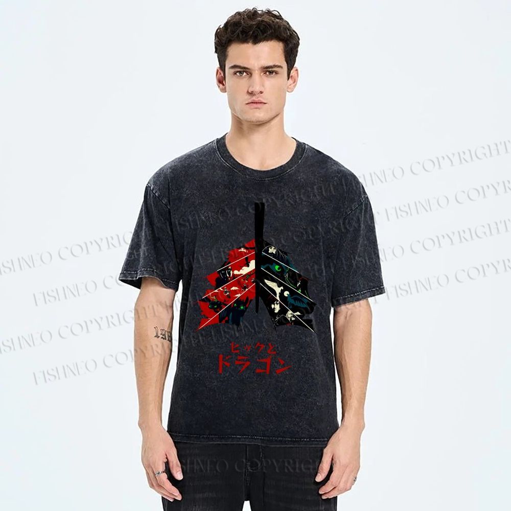 Unisex How to Train Your Dragon Printed Washed Tee