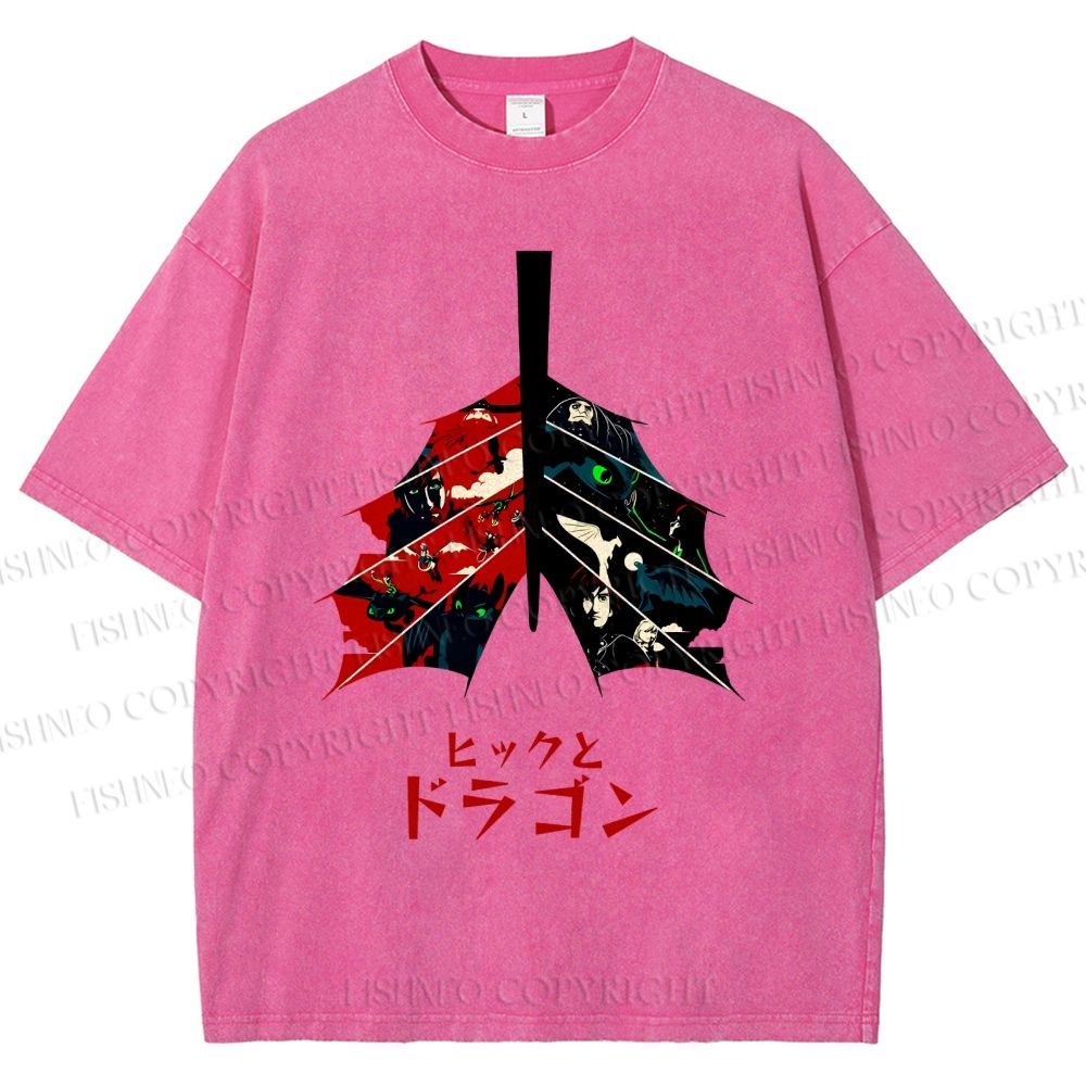 Unisex How to Train Your Dragon Printed Washed Tee
