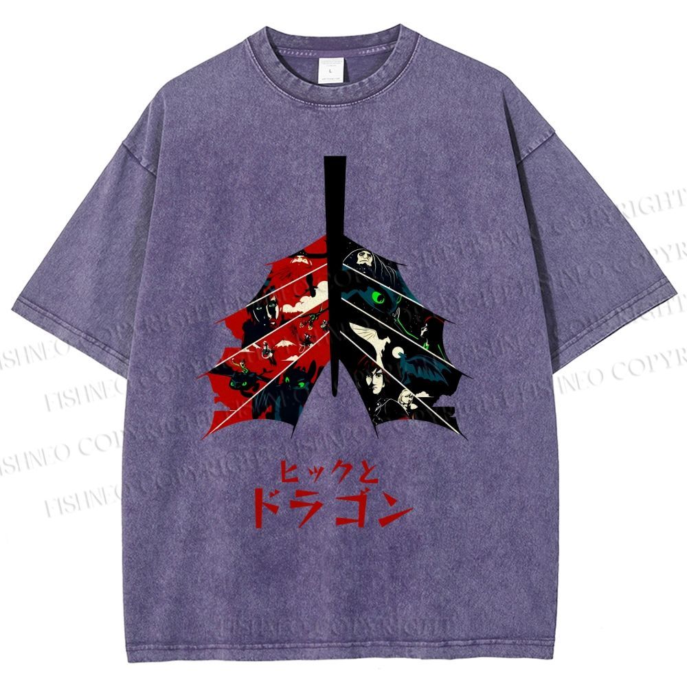 Unisex How to Train Your Dragon Printed Washed Tee