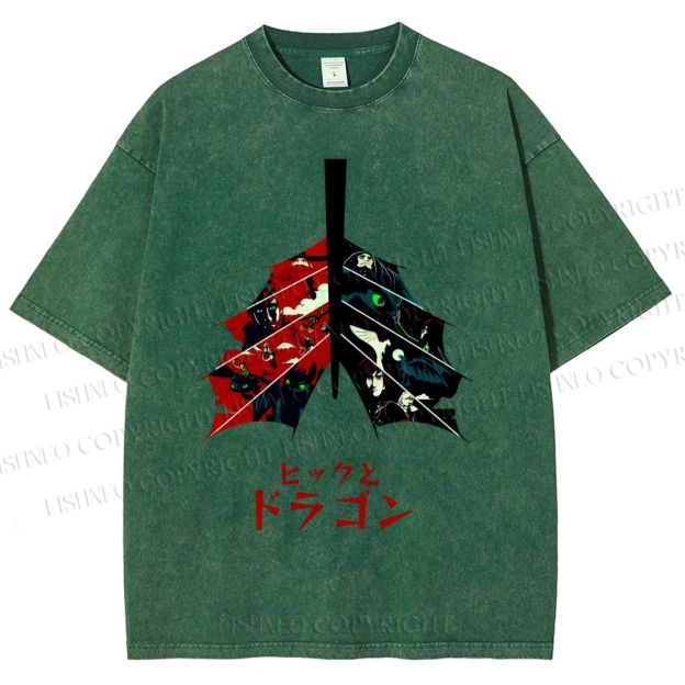Unisex How to Train Your Dragon Printed Washed Tee