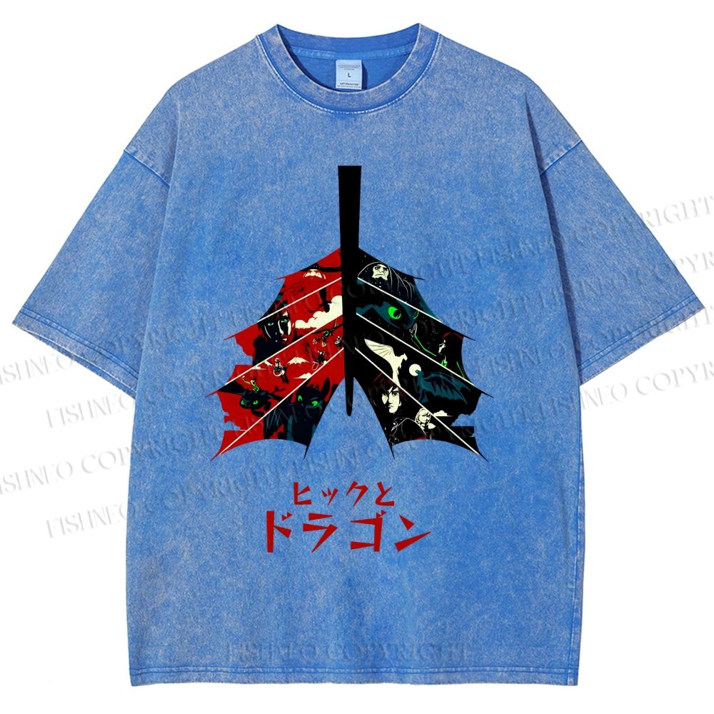Unisex How to Train Your Dragon Printed Washed Tee