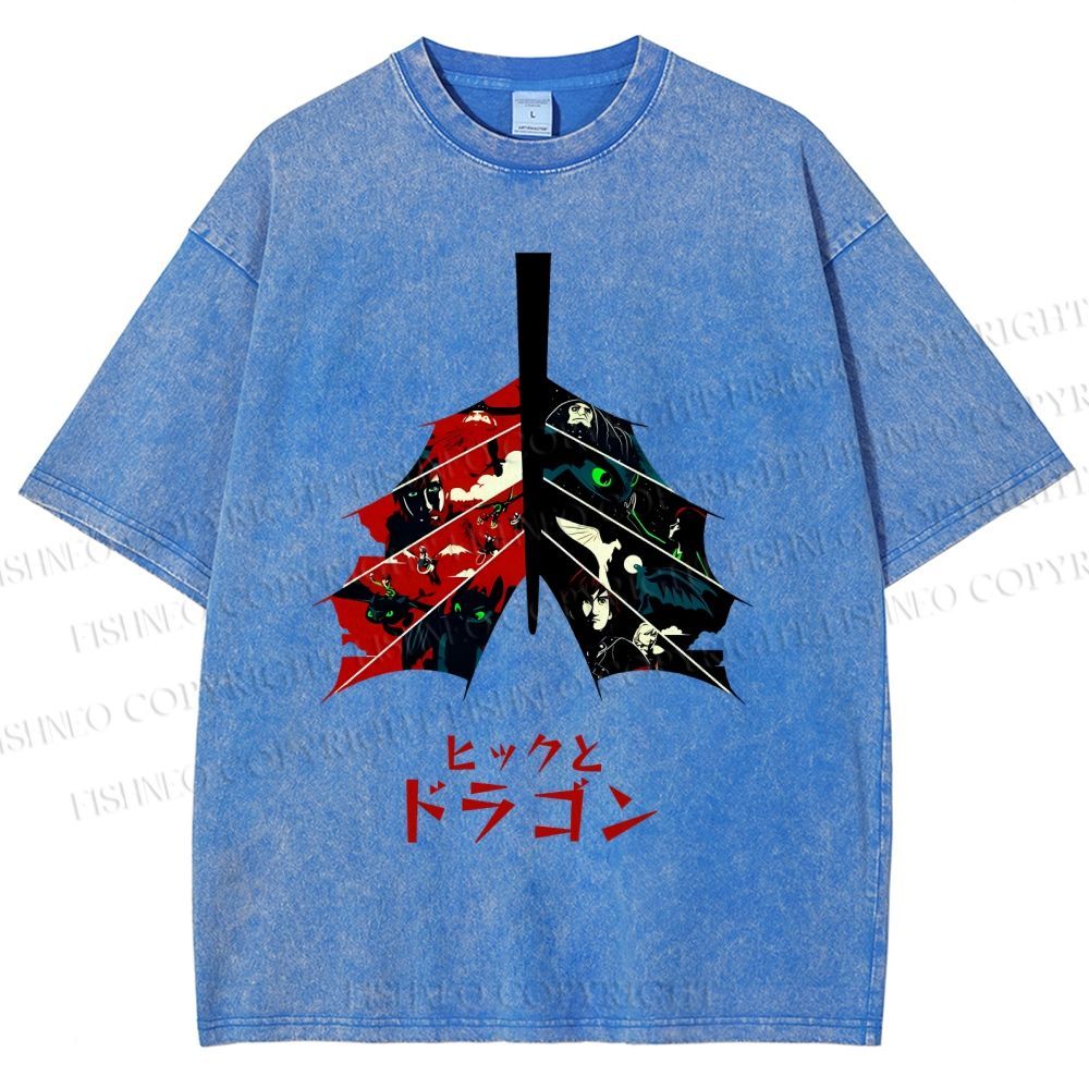 Unisex How to Train Your Dragon Printed Washed Tee