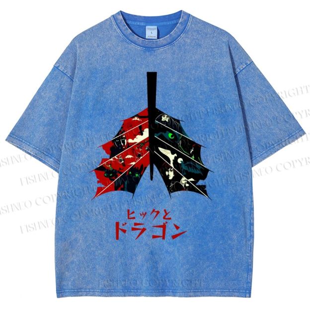 Unisex How to Train Your Dragon Printed Washed Tee