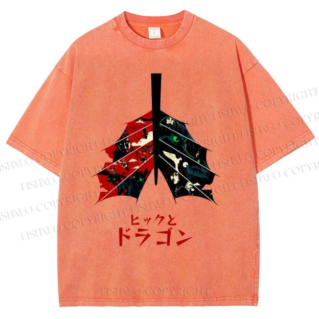 Unisex How to Train Your Dragon Printed Washed Tee