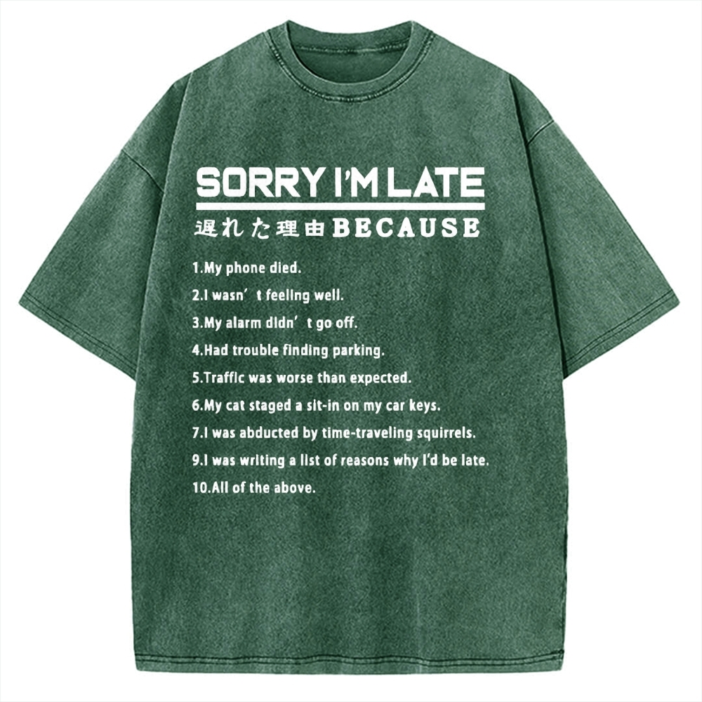 Reason For Being Late Vintage Washed T-shirt