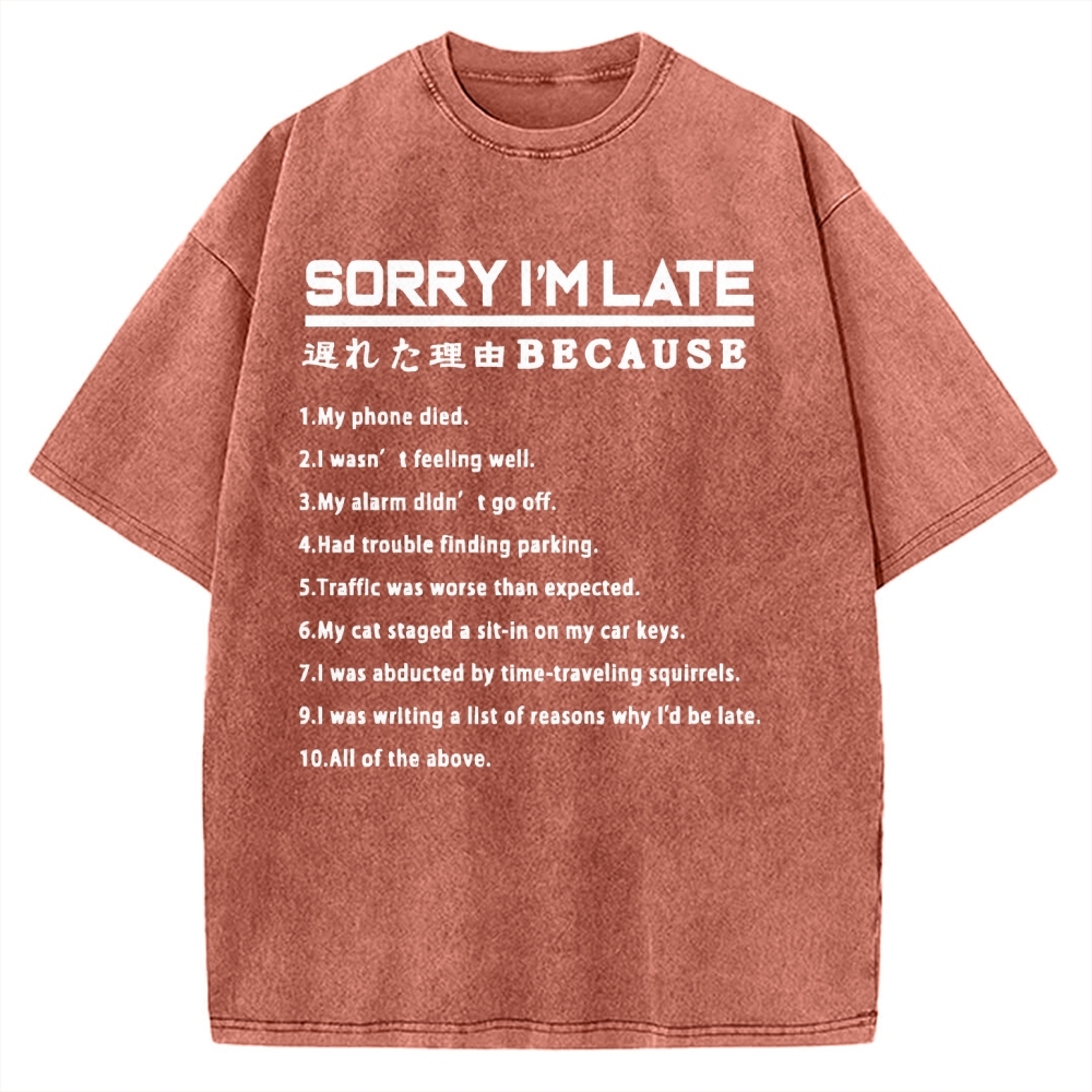 Reason For Being Late Vintage Washed T-shirt