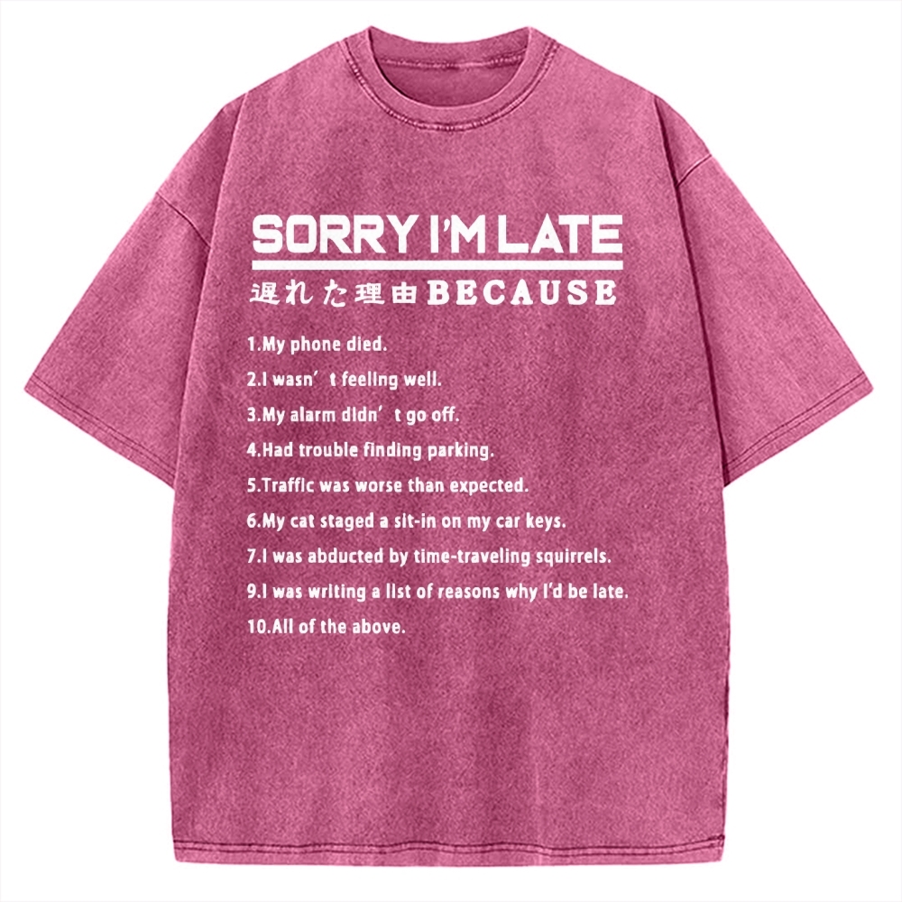 Reason For Being Late Vintage Washed T-shirt