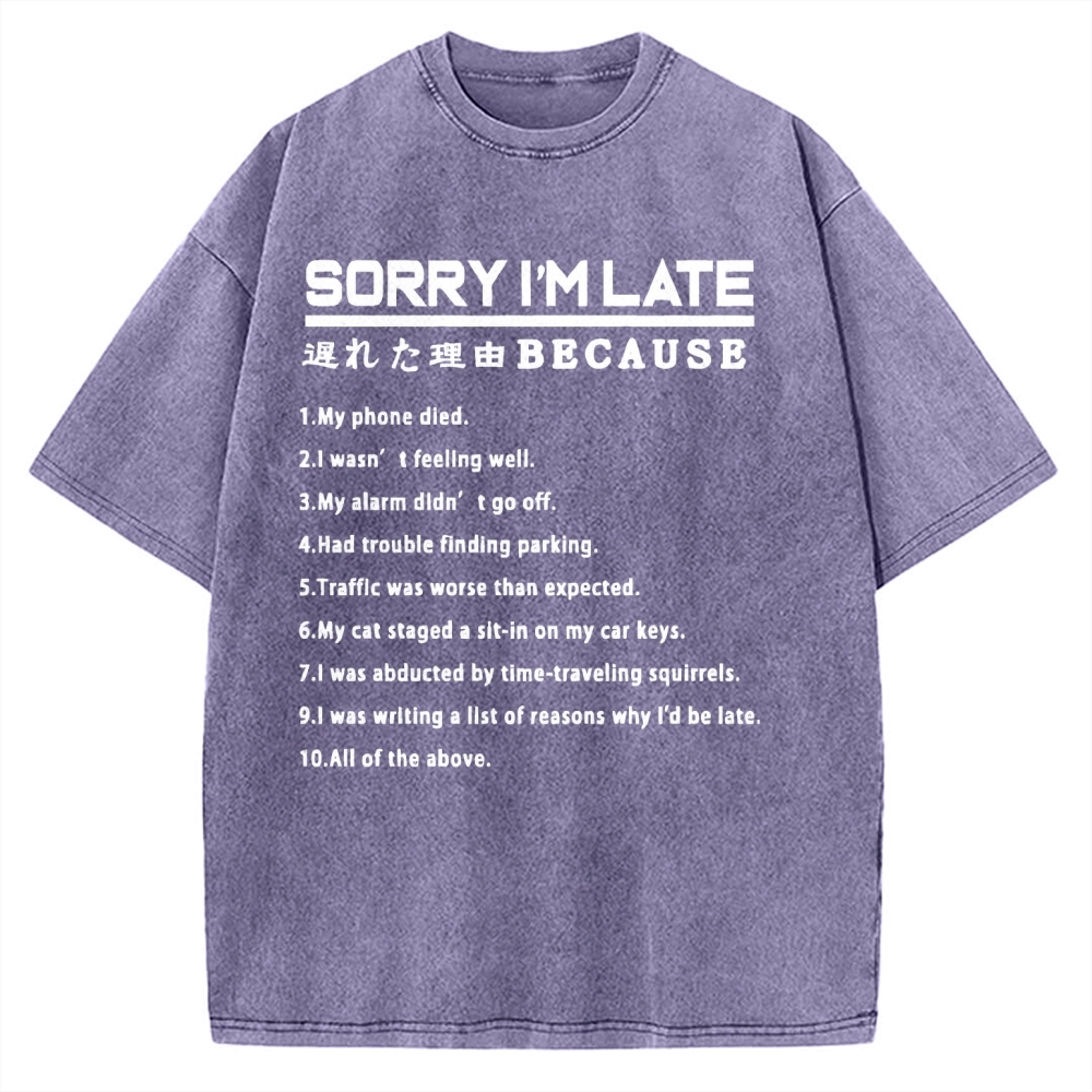 Reason For Being Late Vintage Washed T-shirt