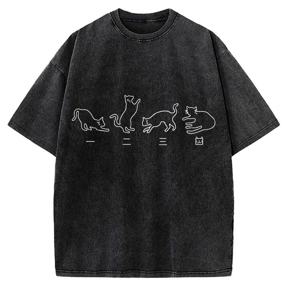 One Two Three Cat Japanese Kanji Vintage Washed T-shirt