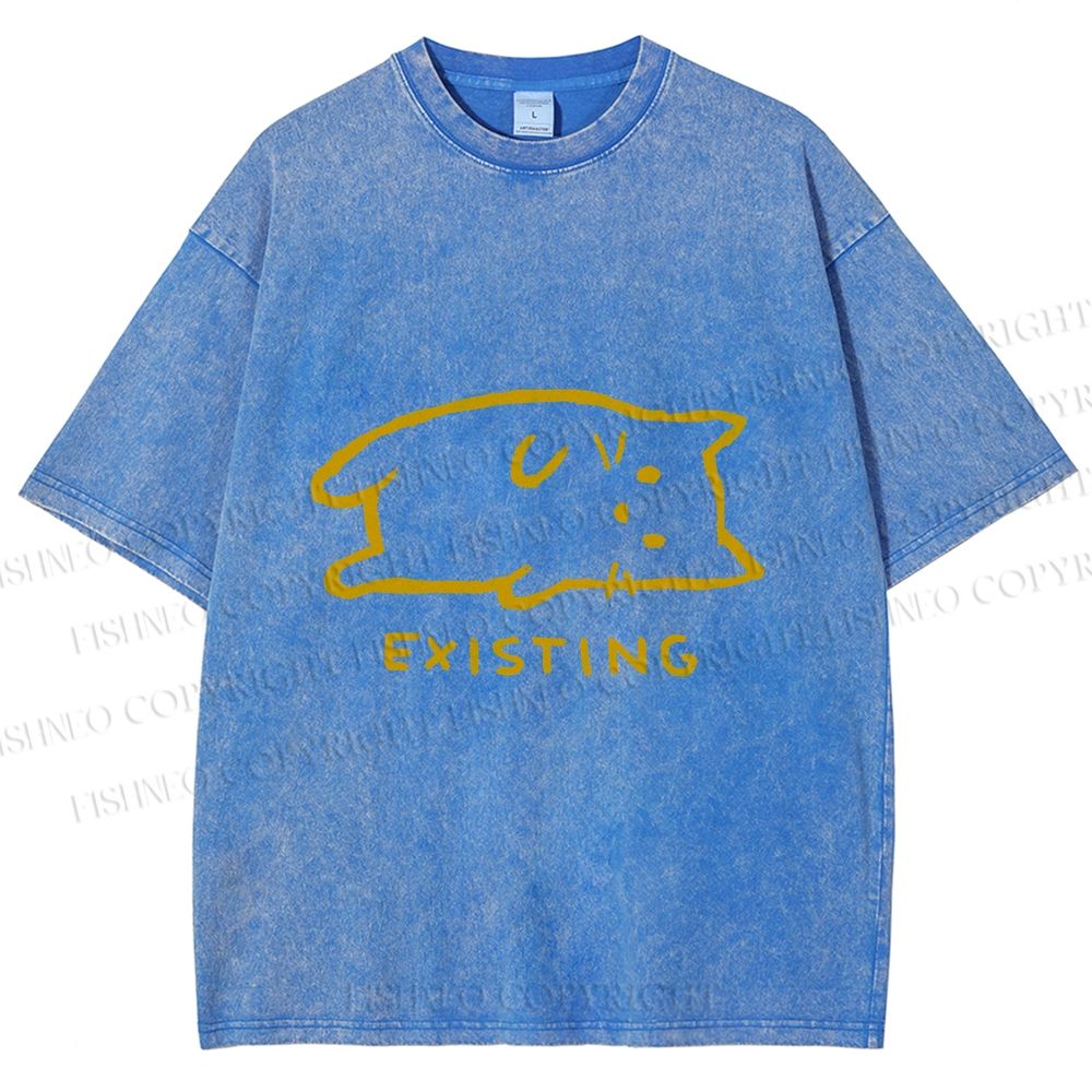 Unisex Laying Cat Existing Printed Washed Tee