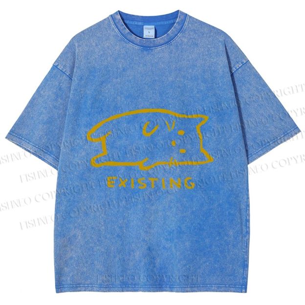 Unisex Laying Cat Existing Printed Washed Tee