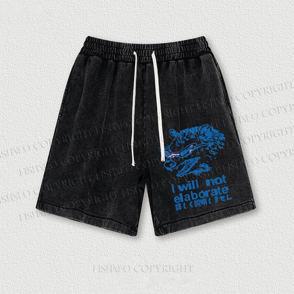 Japanese Raccoon Will Not Elaborate Washed Vintage Shorts