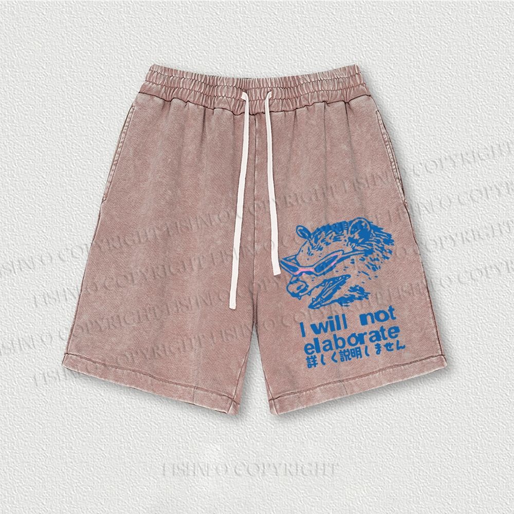 Japanese Raccoon Will Not Elaborate Washed Vintage Shorts