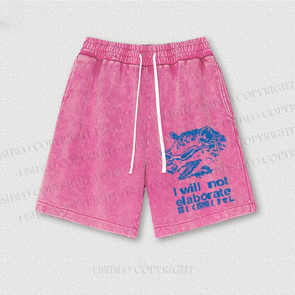 Japanese Raccoon Will Not Elaborate Washed Vintage Shorts