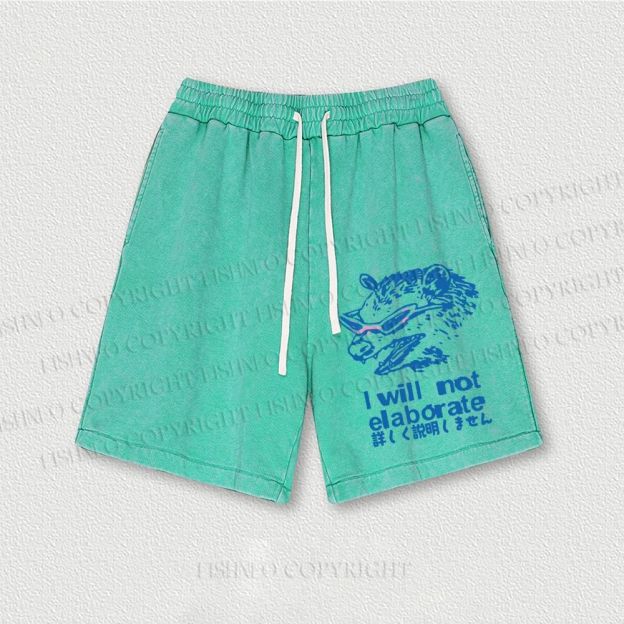 Japanese Raccoon Will Not Elaborate Washed Vintage Shorts