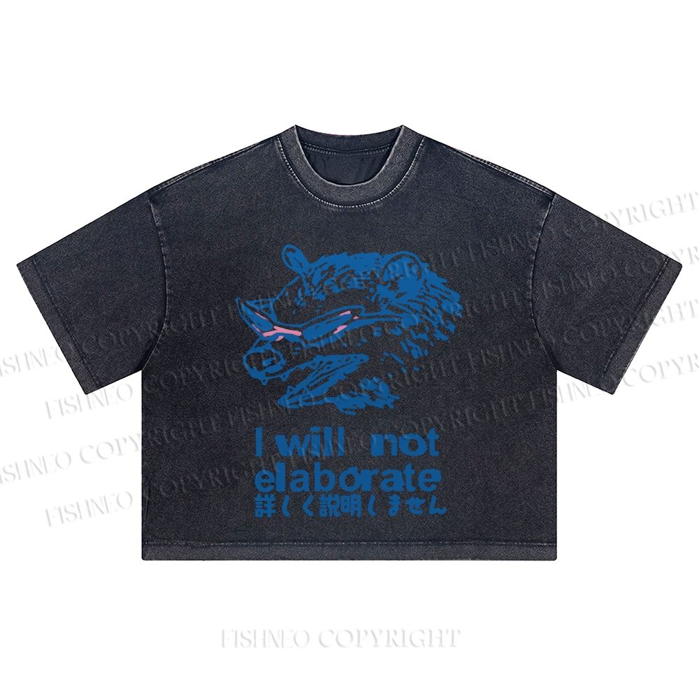 Japanese Raccoon Will Not Elaborate Washed Cropped T-Shirt