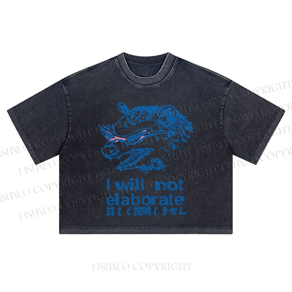 Japanese Raccoon Will Not Elaborate Washed Cropped T-Shirt