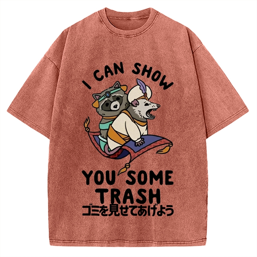 I Can Show You Some Trash Funny Raccoon & Opossum Vintage Washed T-shirt