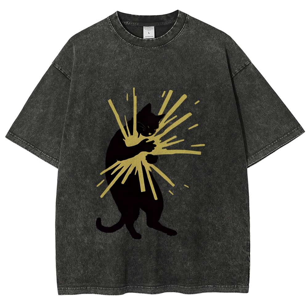 Cat Holding Light Washed T-Shirt