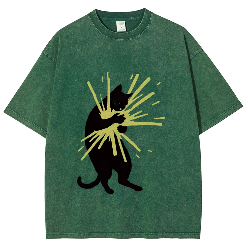 Cat Holding Light Washed T-Shirt