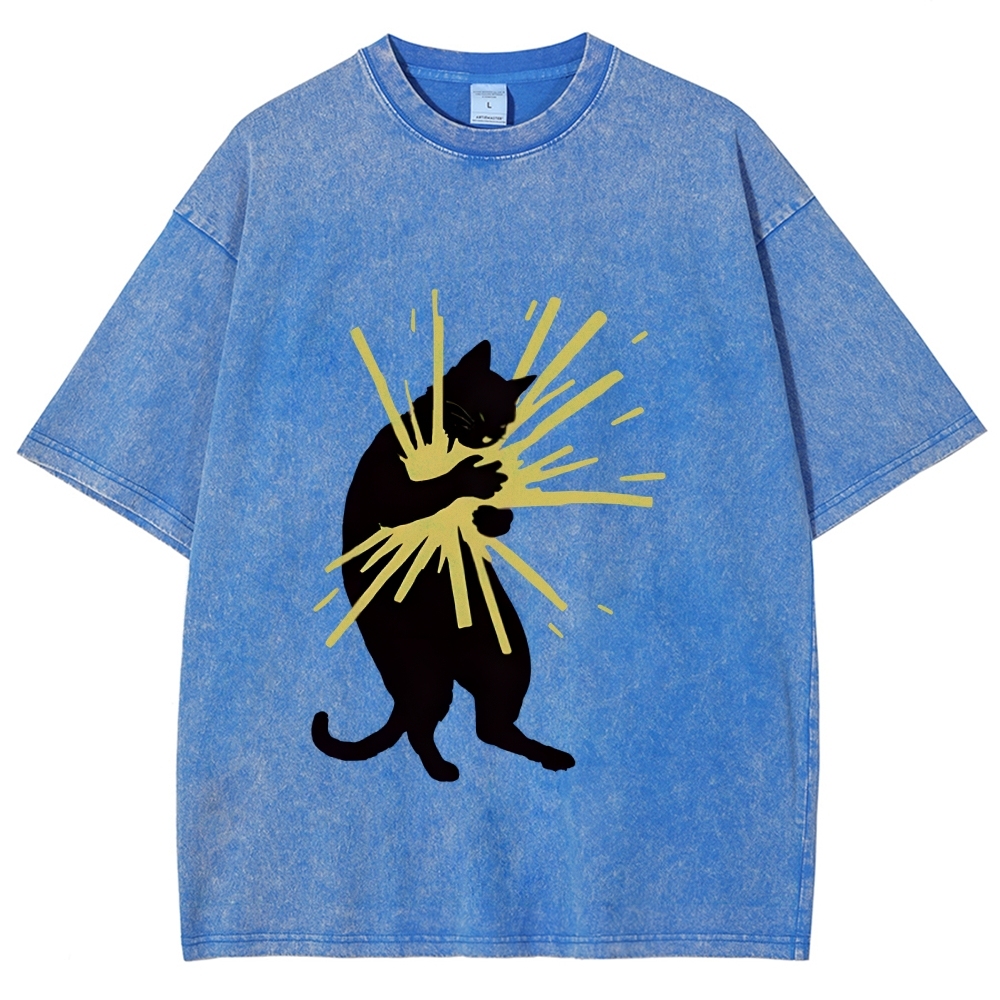 Cat Holding Light Washed T-Shirt