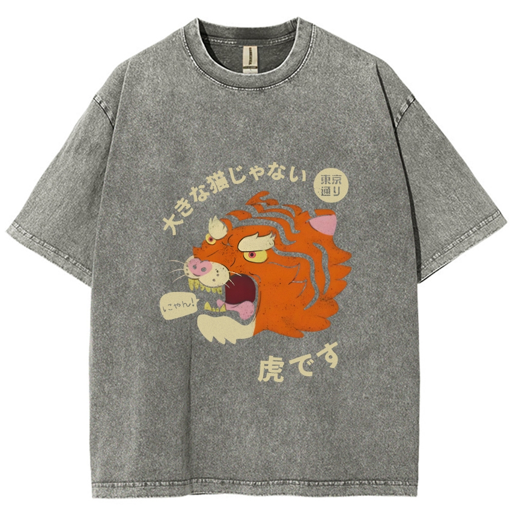 It's Not A Big Cat Washed Vintage T-Shirt