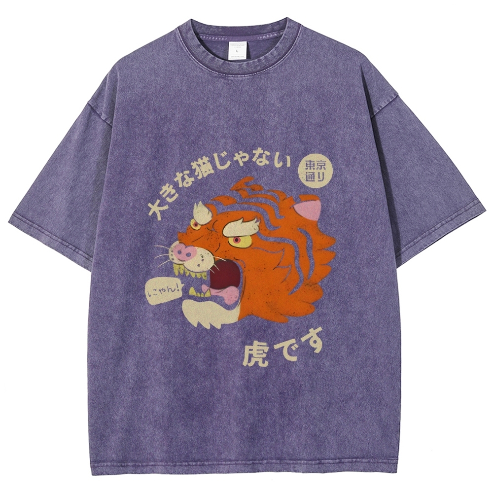 It's Not A Big Cat Washed Vintage T-Shirt