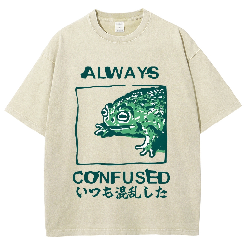Always Confused Funny Frog Meme Vintage Washed T-shirt