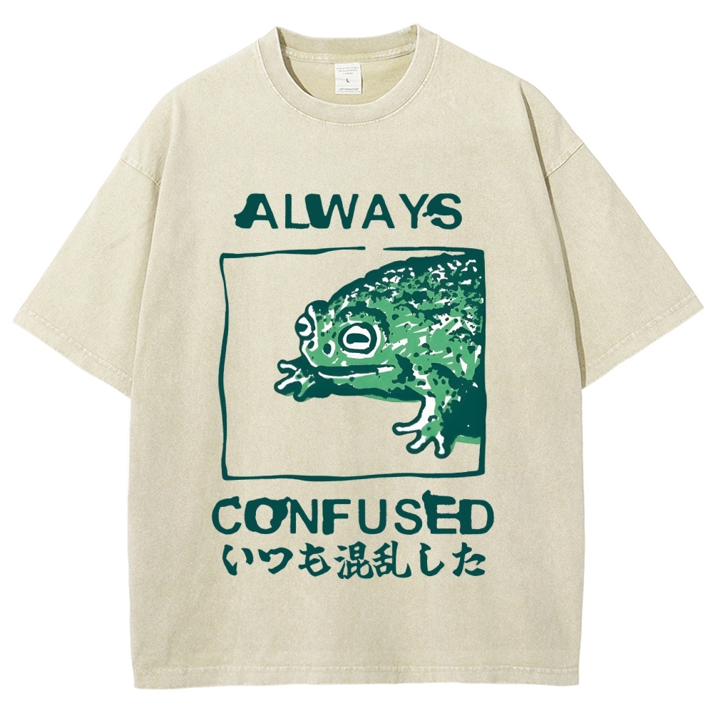 Always Confused Funny Frog Meme Vintage Washed T-shirt