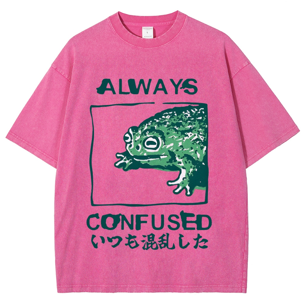 Always Confused Funny Frog Meme Vintage Washed T-shirt