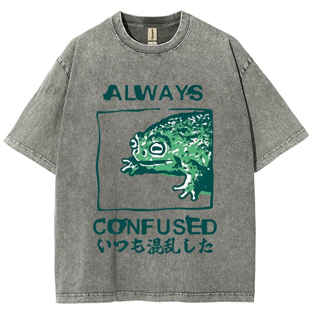Always Confused Funny Frog Meme Vintage Washed T-shirt