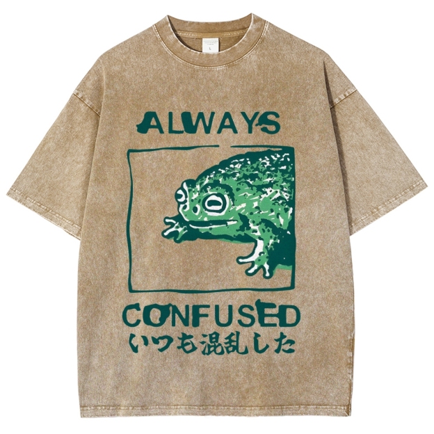 Always Confused Funny Frog Meme Vintage Washed T-shirt