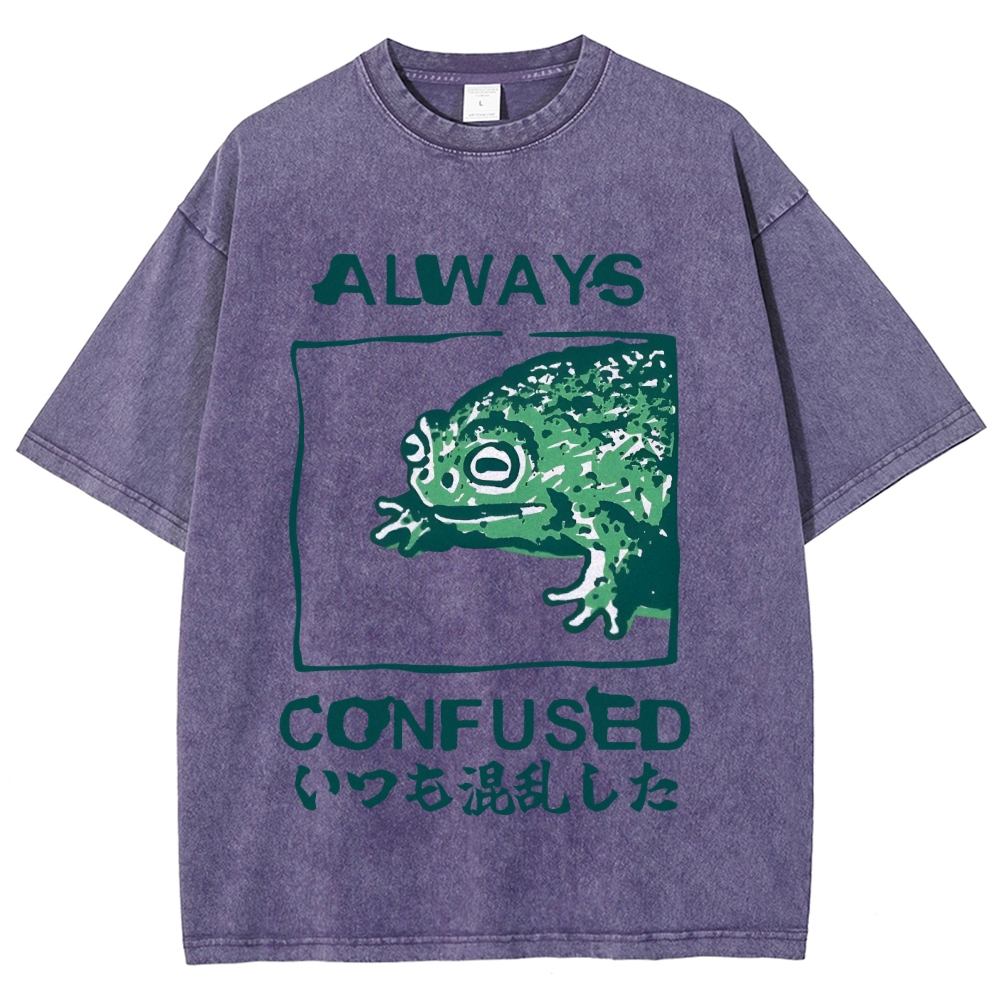 Always Confused Funny Frog Meme Vintage Washed T-shirt