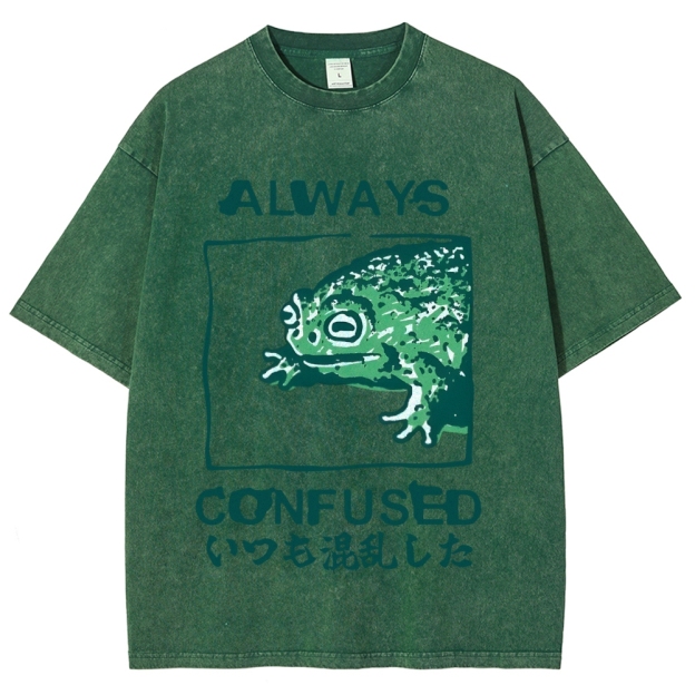 Always Confused Funny Frog Meme Vintage Washed T-shirt