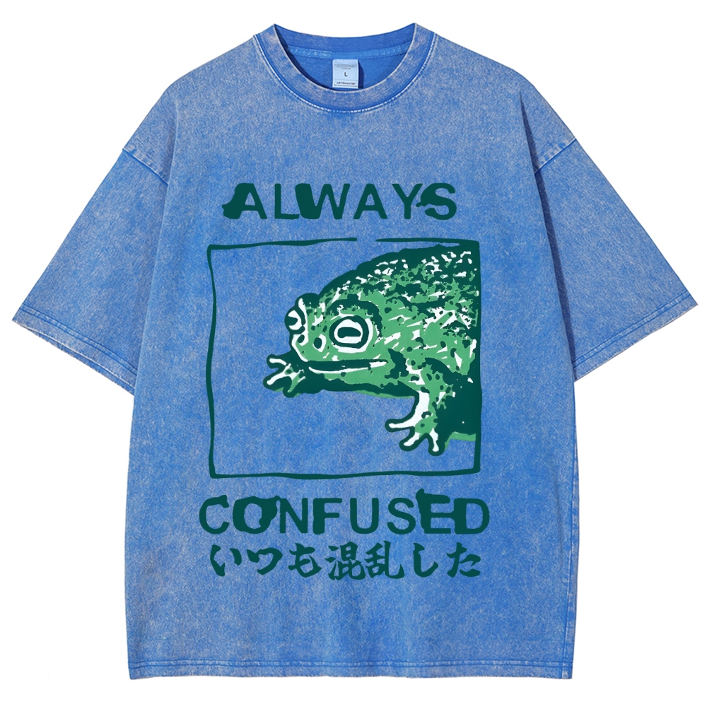 Always Confused Funny Frog Meme Vintage Washed T-shirt