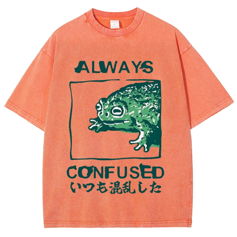 Always Confused Funny Frog Meme Vintage Washed T-shirt