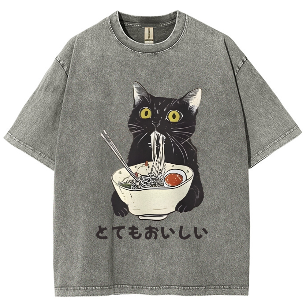 Cats Eat Ramen Noodles Washed T-Shirt
