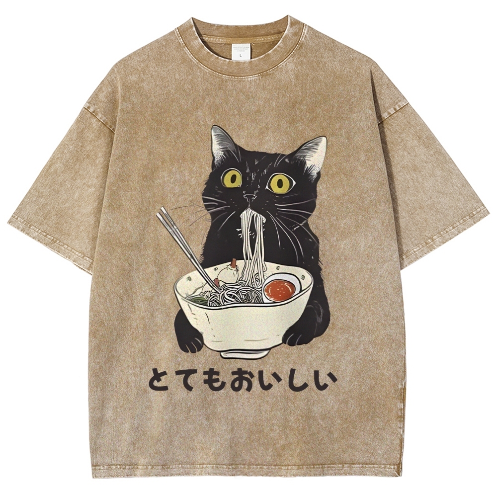 Cats Eat Ramen Noodles Washed T-Shirt