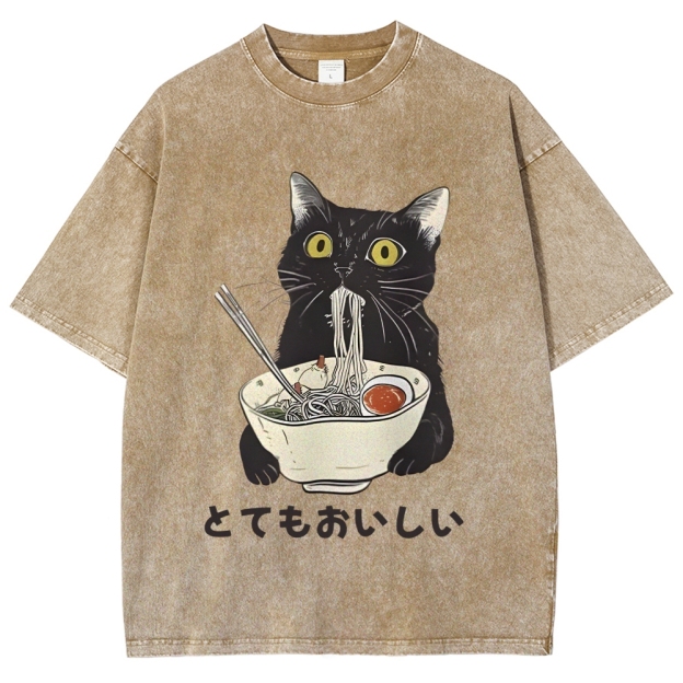 Cats Eat Ramen Noodles Washed T-Shirt