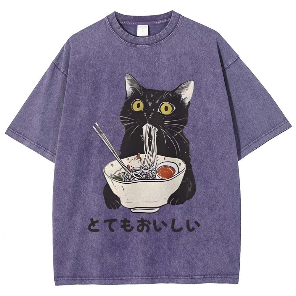 Cats Eat Ramen Noodles Washed T-Shirt