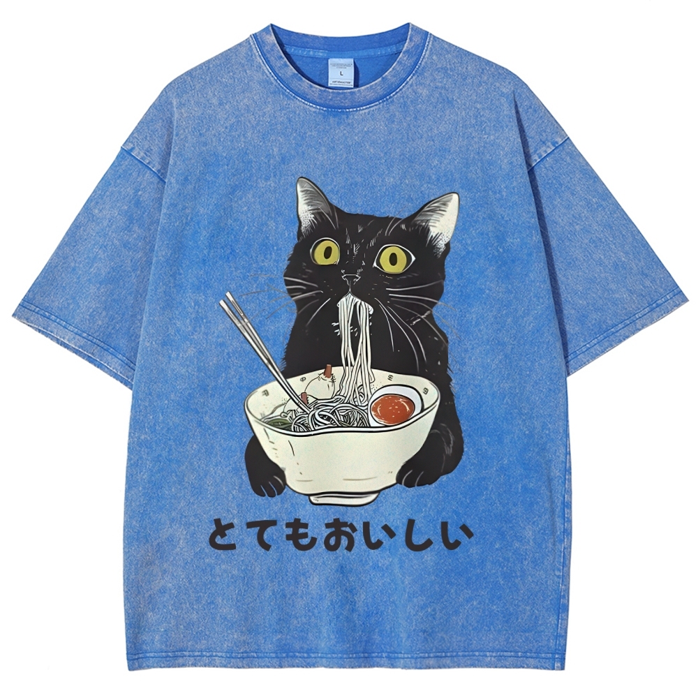 Cats Eat Ramen Noodles Washed T-Shirt