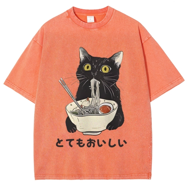 Cats Eat Ramen Noodles Washed T-Shirt