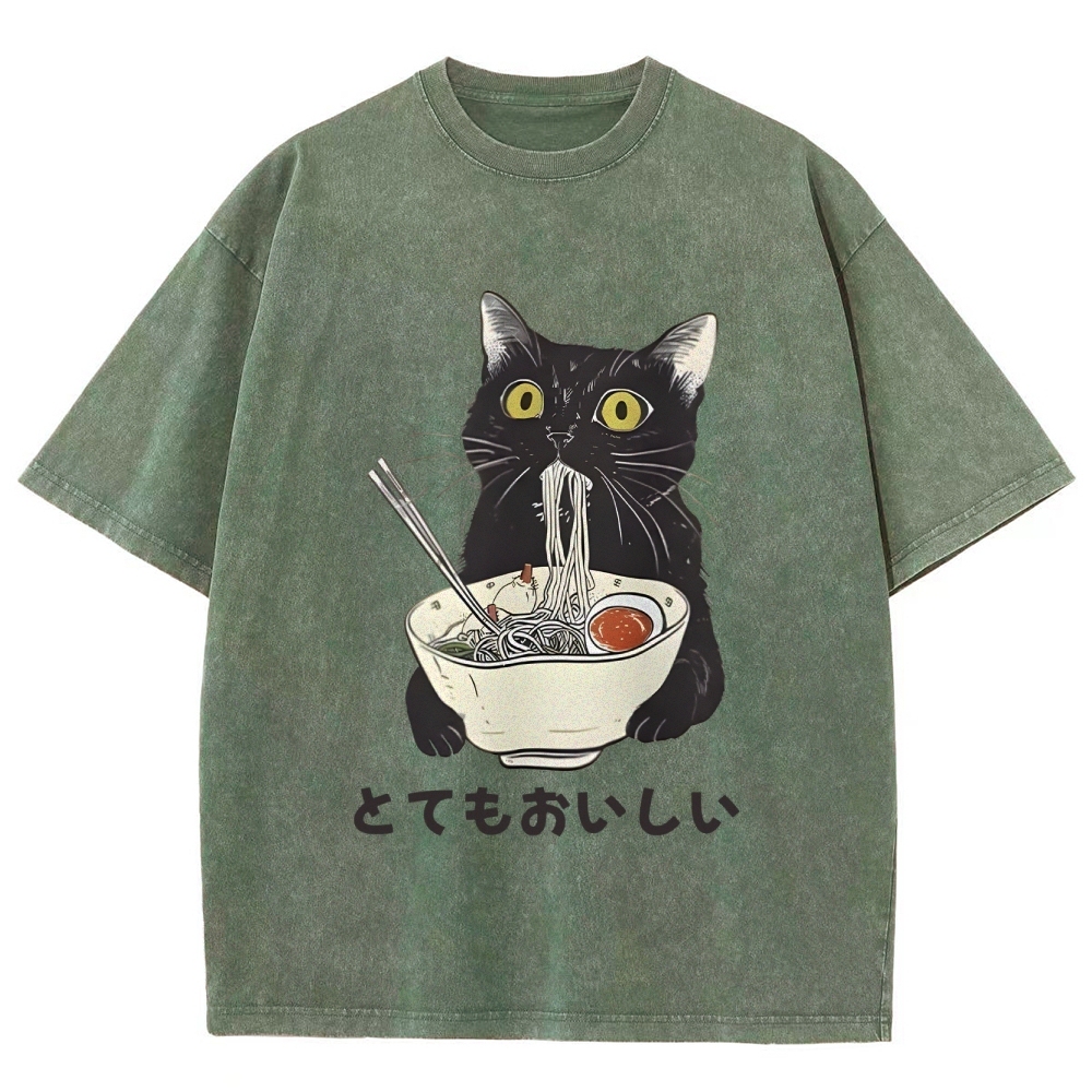 Cats Eat Ramen Noodles Washed T-Shirt