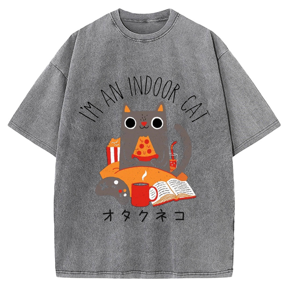 Indoor Cat Vintage Washed T-shirt