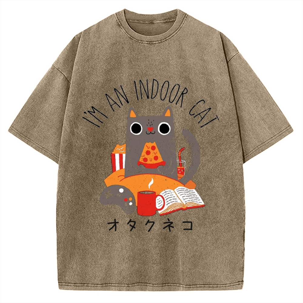 Indoor Cat Vintage Washed T-shirt